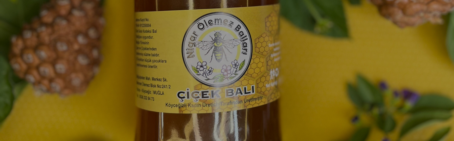 Nigar Ölemez Balları